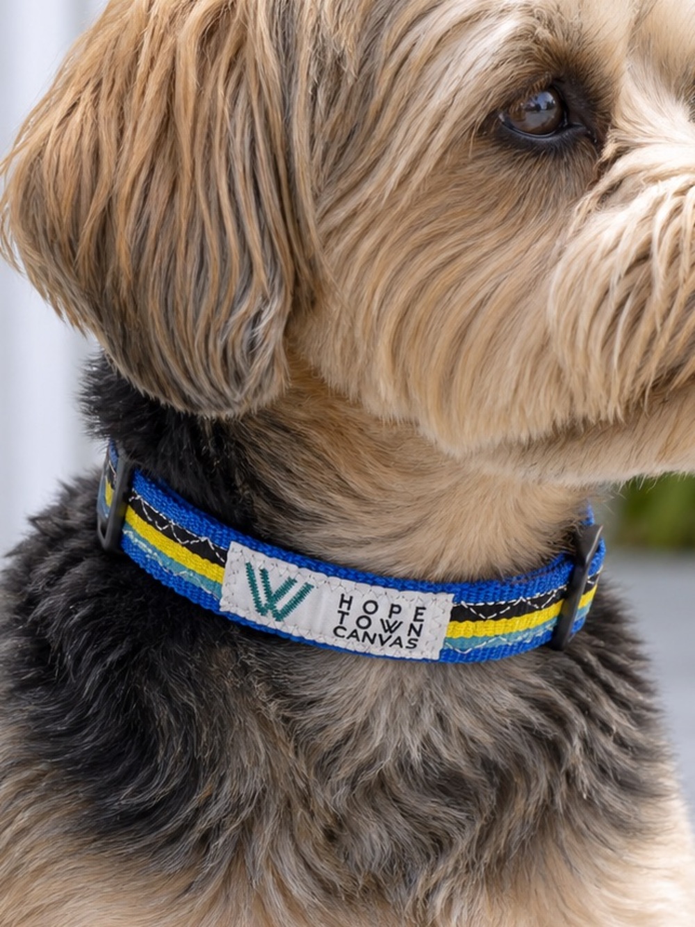 Hope Town Canvas Bahamian Dog Collar NWOT